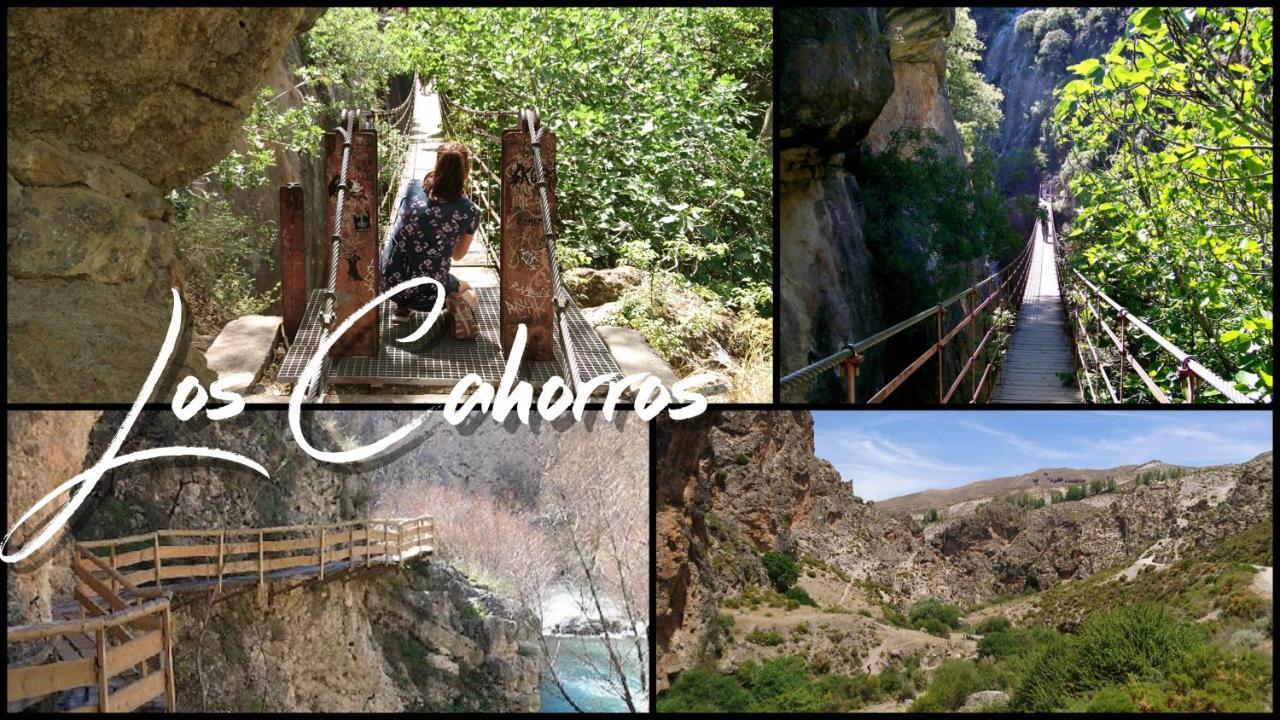 Chalet Trolio Bed & Breakfast Alhendín Εξωτερικό φωτογραφία