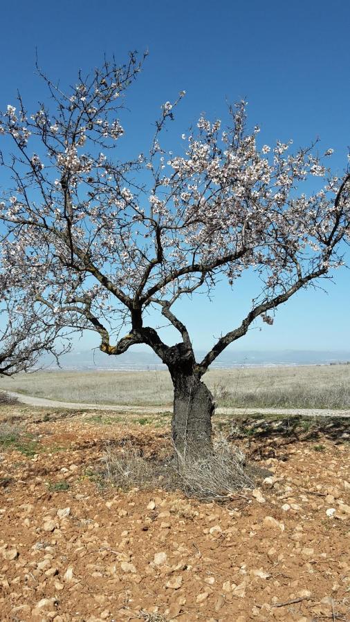 Chalet Trolio Bed & Breakfast Alhendín Εξωτερικό φωτογραφία